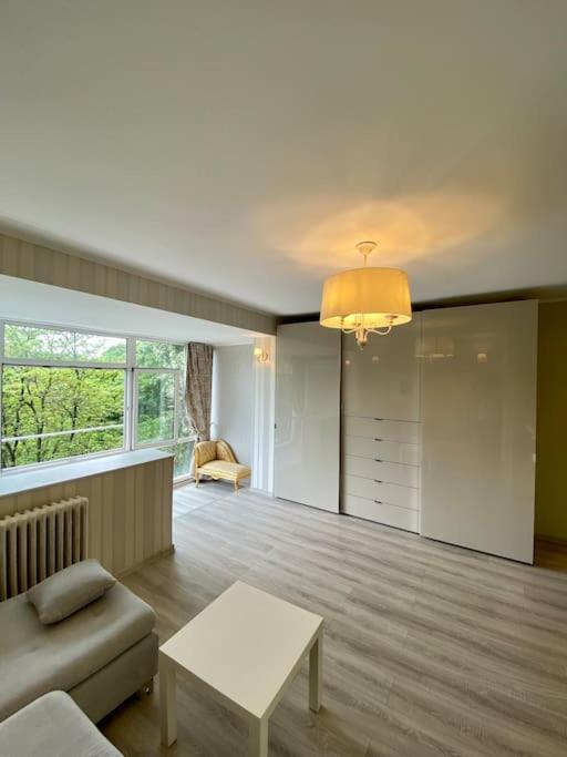 Downtown Studio - Ultra Central With Park View 布加勒斯特 外观 照片