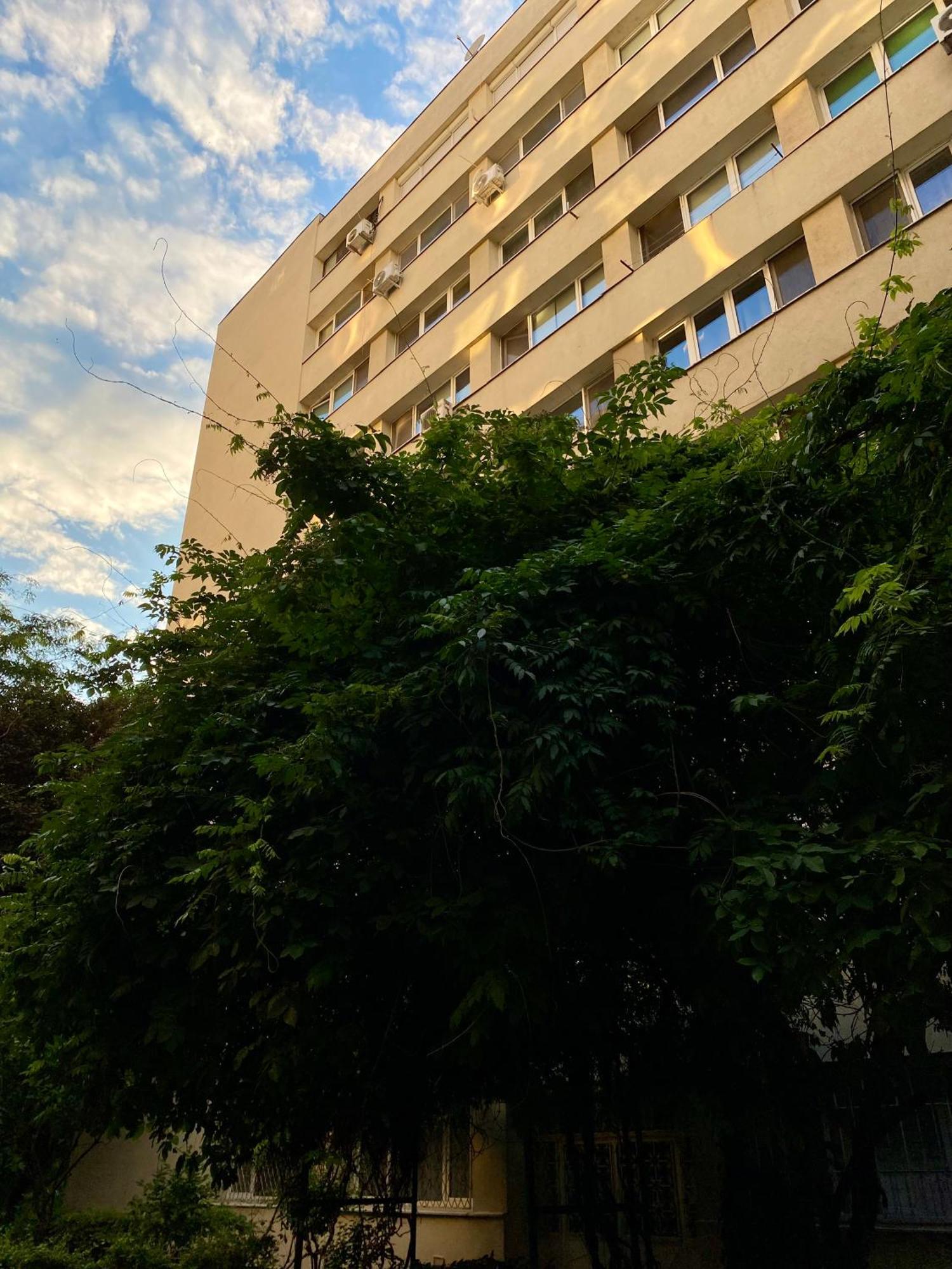 Downtown Studio - Ultra Central With Park View 布加勒斯特 外观 照片